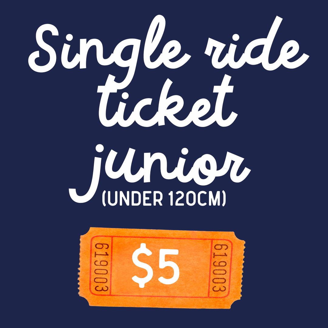 Single Ride Ticket Junior (under 120cm)