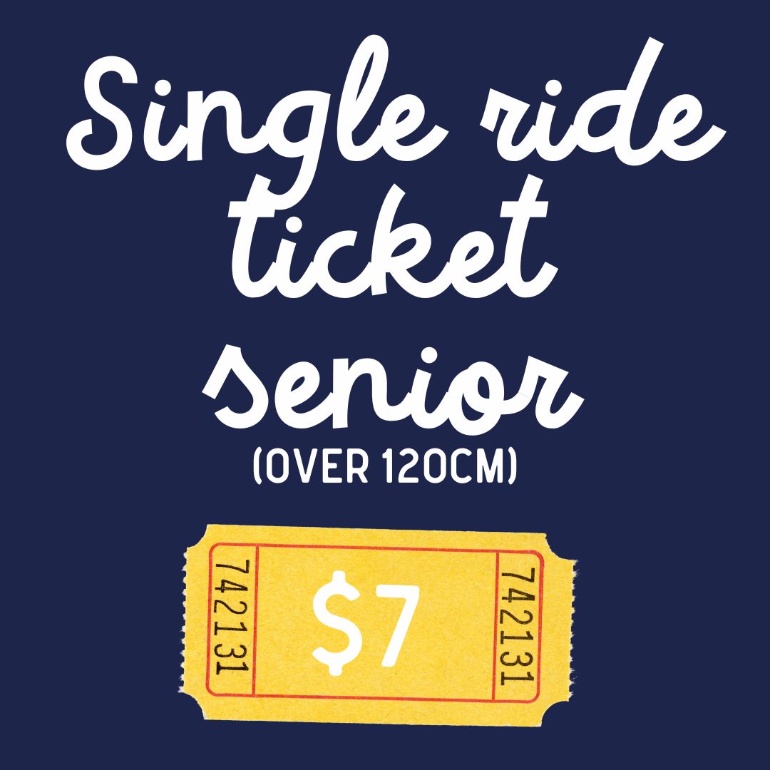 Single Ride Ticket Senior (over 120cm)